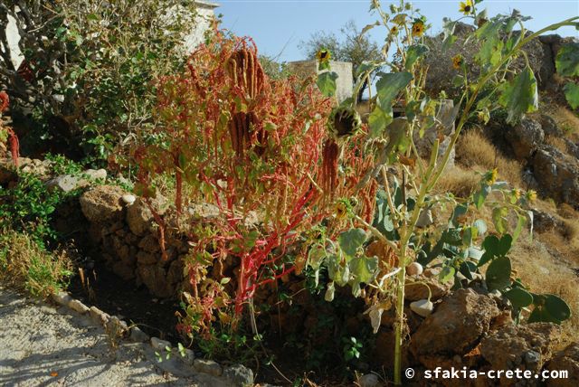 Photo report of a trip around Sfakia, September - October 2007